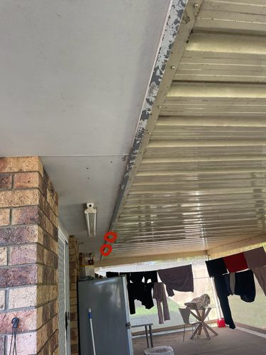 IMG_0766.jpeg IMG_0766.jpeg