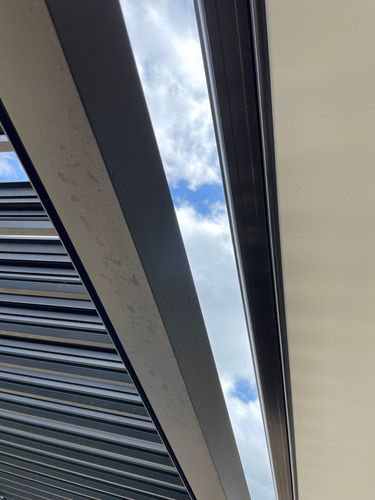 IMG_2196.jpeg IMG_2196.jpeg