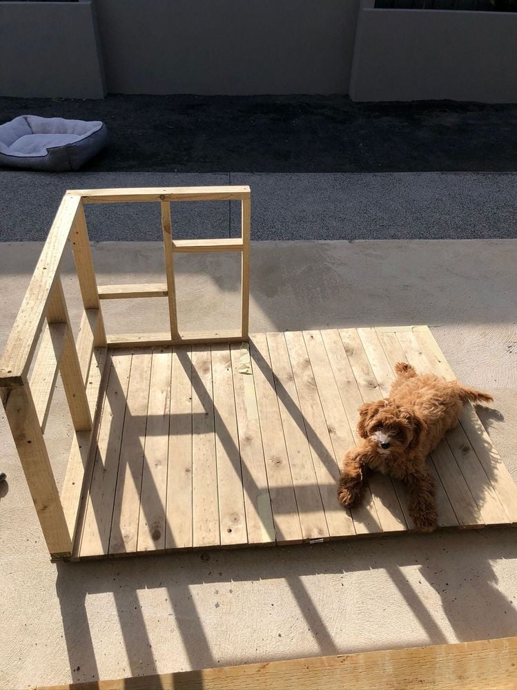 IMG_3749.JPEG IMG_3749.JPEG