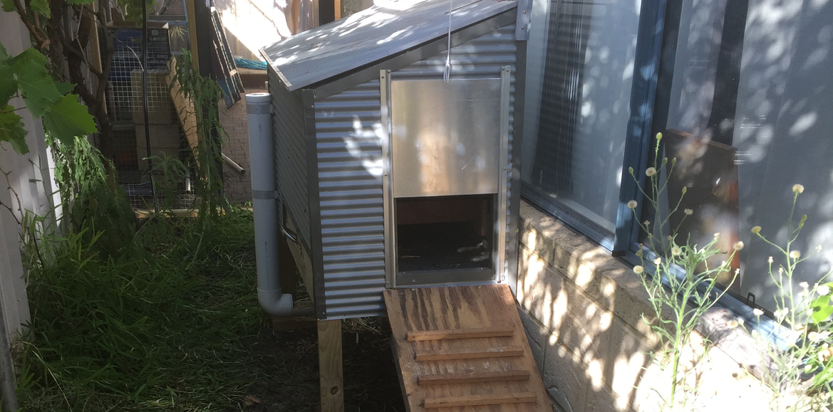darly chicken coop.png darly chicken coop.png
