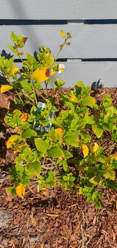 20241013_094806.jpg 20241013_094806.jpg