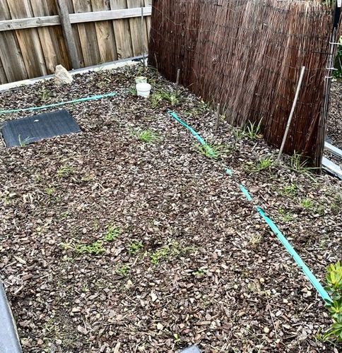 F5238F2C-B7E2-4993-9102-058DA307B4A5.jpeg F5238F2C-B7E2-4993-9102-058DA307B4A5.jpeg