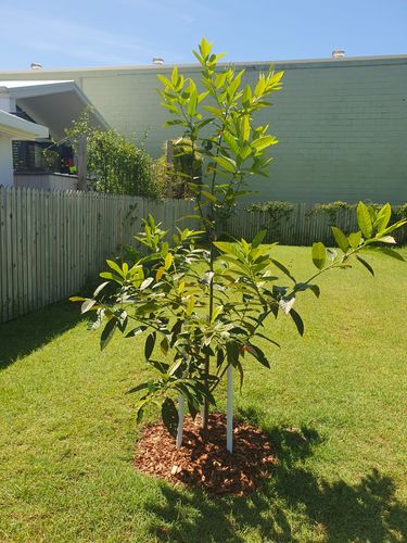 20240301_140303.jpg 20240301_140303.jpg