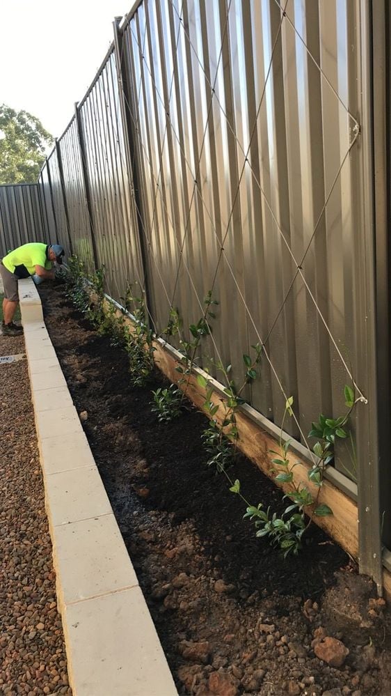 46A04423-25C6-4F6E-A2D5-0D2140F36636.jpeg 46A04423-25C6-4F6E-A2D5-0D2140F36636.jpeg