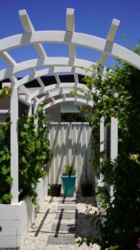 DSC08130.jpg DSC08130.jpg