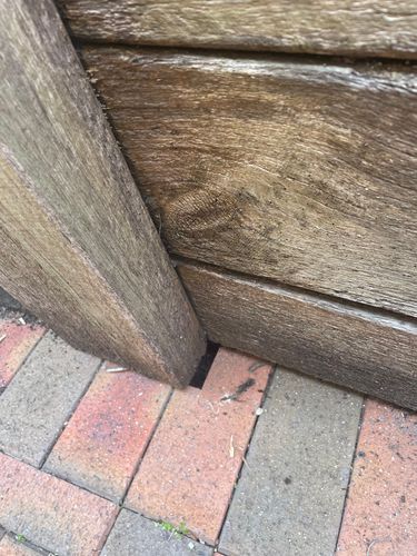 IMG_0906.jpeg IMG_0906.jpeg