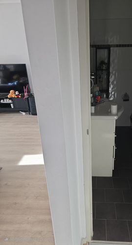 1000051298.jpg 1000051298.jpg