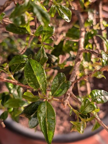 1000023963.jpg 1000023963.jpg