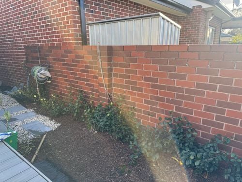 IMG_3915.jpeg IMG_3915.jpeg