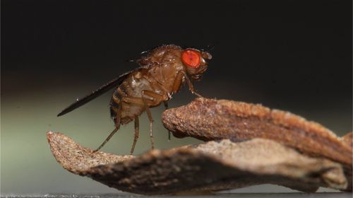 576348E5-070C-46DD-9438-280018906DA1.jpeg 576348E5-070C-46DD-9438-280018906DA1.jpeg