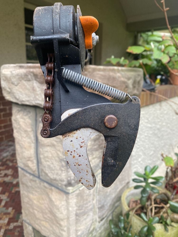 IMG_0752.JPG IMG_0752.JPG