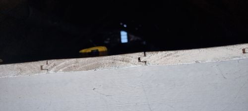 1000017001.jpg 1000017001.jpg