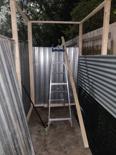 IMG_20251003_201504.jpg IMG_20251003_201504.jpg