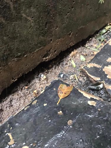 53 03-07-2022.jpg 53 03-07-2022.jpg