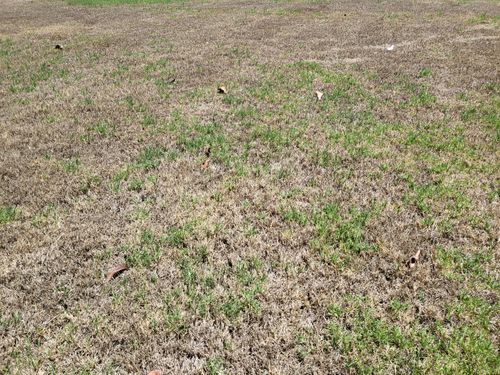 20250115_141434.jpg 20250115_141434.jpg