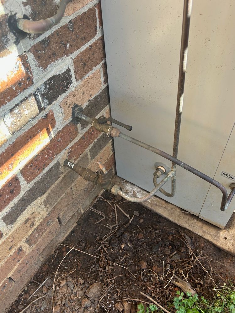 IMG_4445.jpg IMG_4445.jpg