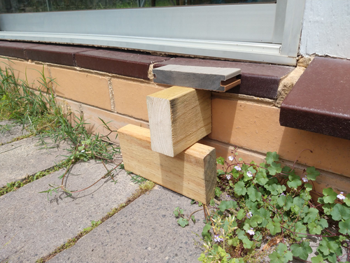 blt_1-1679986178507.png blt_1-1679986178507.png