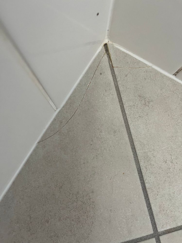 Photo 11-10-2024, 3 19 52 PM.jpg Photo 11-10-2024, 3 19 52 PM.jpg