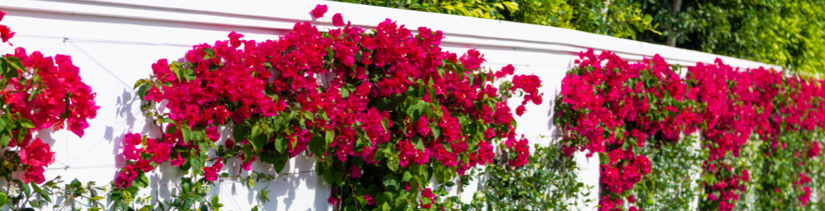 Hero Image Test Blog (59).png Hero Image Test Blog (59).png