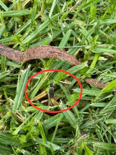 58965BD3-AD1F-4E1B-A60A-184EF9B3AD0B.jpeg 58965BD3-AD1F-4E1B-A60A-184EF9B3AD0B.jpeg