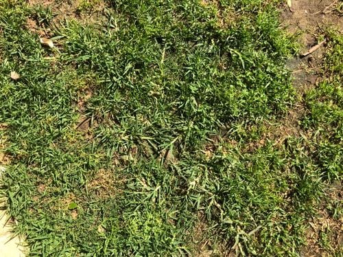 B344DB01-2BD2-414D-913E-C29C3AB6825C.jpeg B344DB01-2BD2-414D-913E-C29C3AB6825C.jpeg