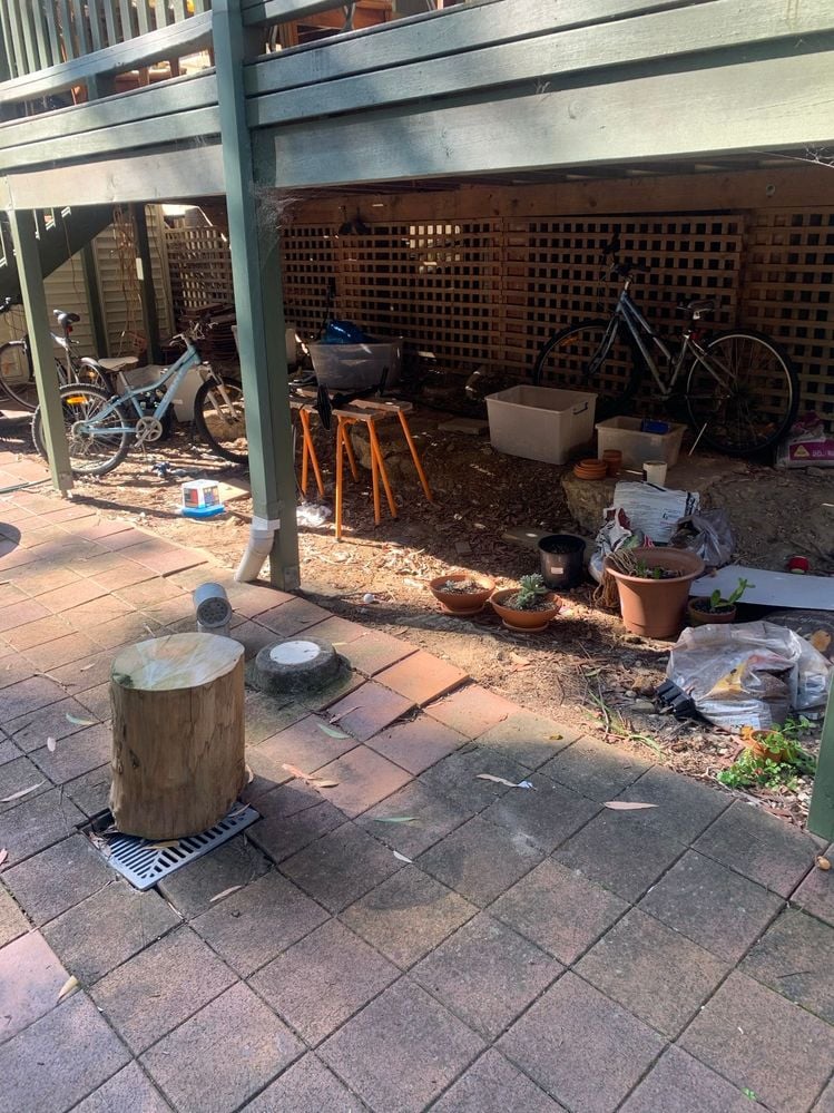 IMG_4215.JPEG IMG_4215.JPEG