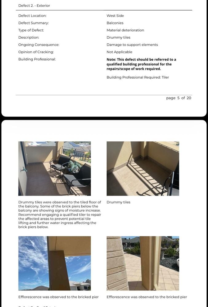 IMG_0537.jpeg IMG_0537.jpeg