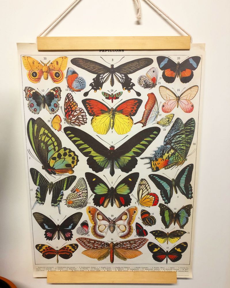 968E728E-25D9-46D1-85F8-72F9094A394A.JPG 968E728E-25D9-46D1-85F8-72F9094A394A.JPG