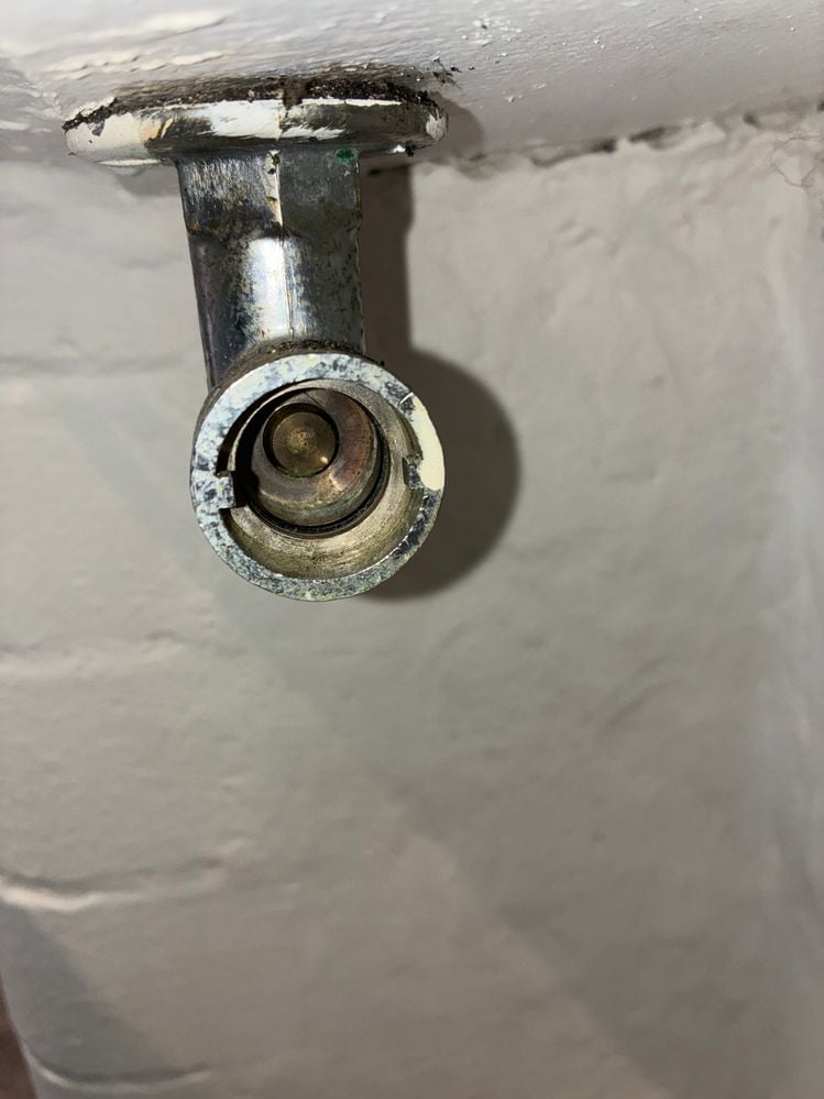 IMG_4525.JPG IMG_4525.JPG