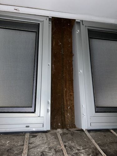 IMG_4433.jpeg IMG_4433.jpeg