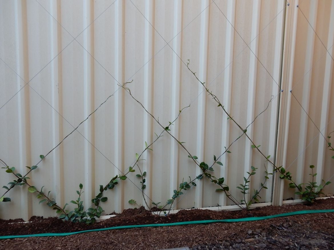 DSCN1955.JPG DSCN1955.JPG