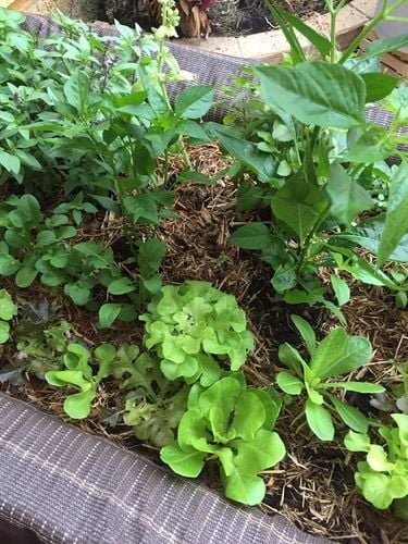 28604132-D769-4658-9192-C530ECA05551.jpeg 28604132-D769-4658-9192-C530ECA05551.jpeg