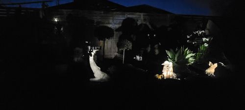 16302268880331694584664045571613.jpg 16302268880331694584664045571613.jpg