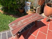 IMG_2943.jpeg IMG_2943.jpeg