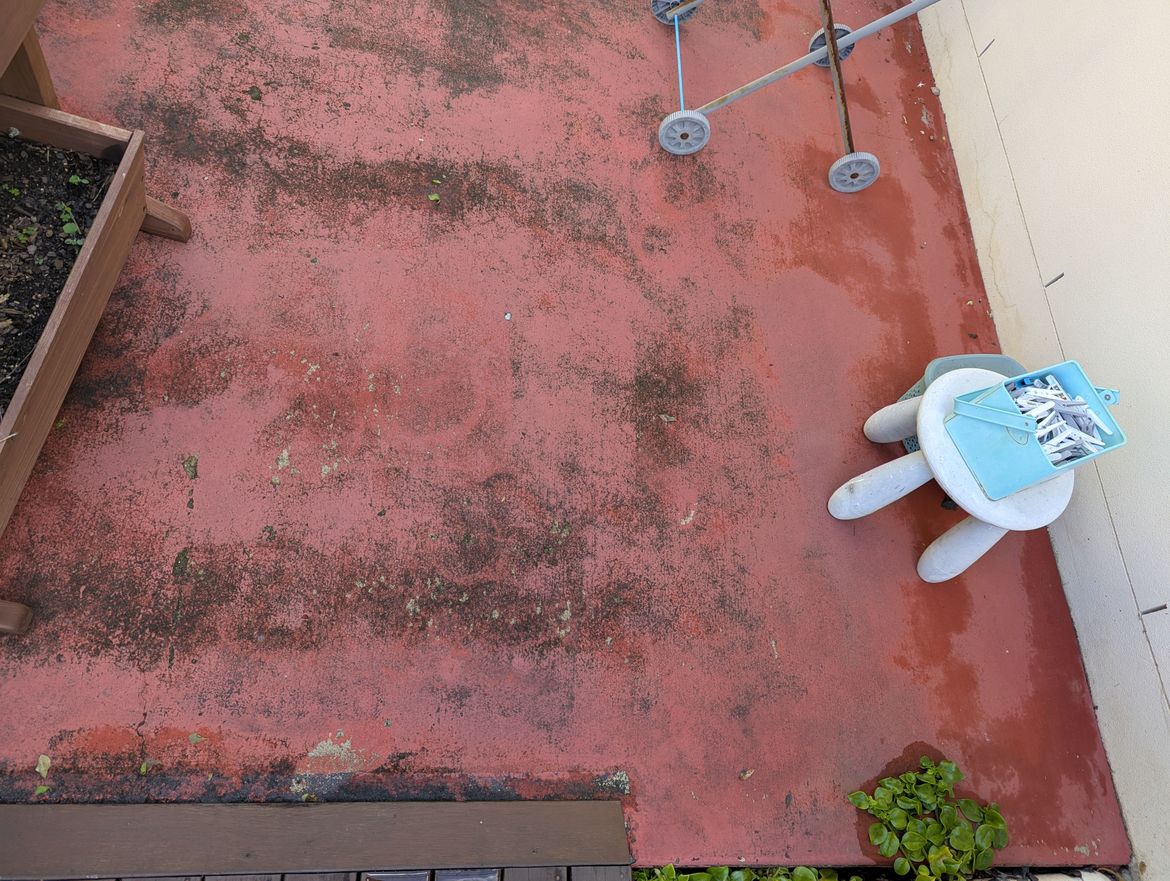 PXL_20250330_041239320.jpg PXL_20250330_041239320.jpg