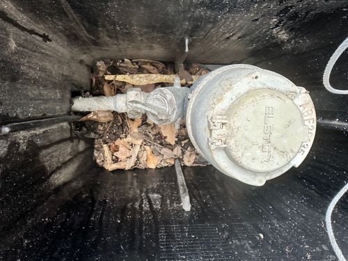 IMG_0010.jpeg IMG_0010.jpeg