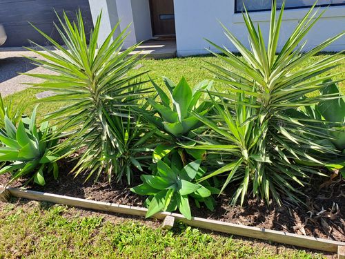 1000014041.jpg 1000014041.jpg