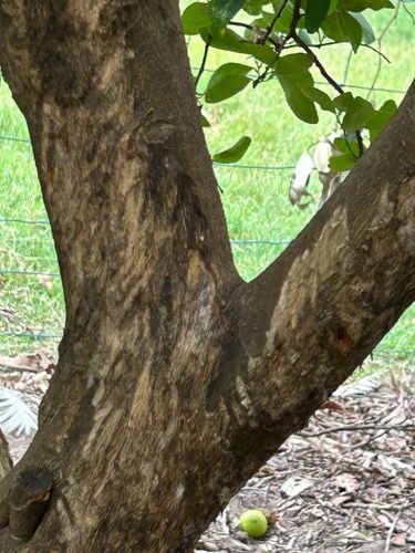 IMG_3099.jpeg IMG_3099.jpeg