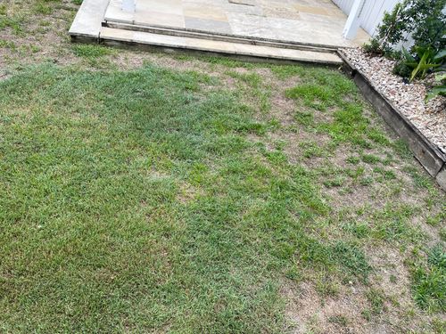 IMG_0792.jpeg IMG_0792.jpeg