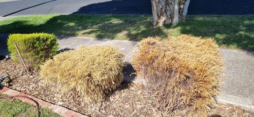 20231010_153806.jpg 20231010_153806.jpg