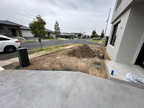 IMG_9081.jpeg IMG_9081.jpeg