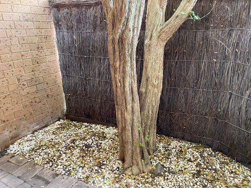 5BDCD289-5223-4F31-BF54-64BF797C7BAF.jpeg 5BDCD289-5223-4F31-BF54-64BF797C7BAF.jpeg