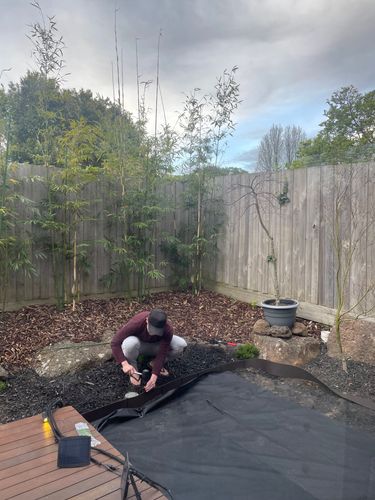 IMG_6642.jpeg IMG_6642.jpeg