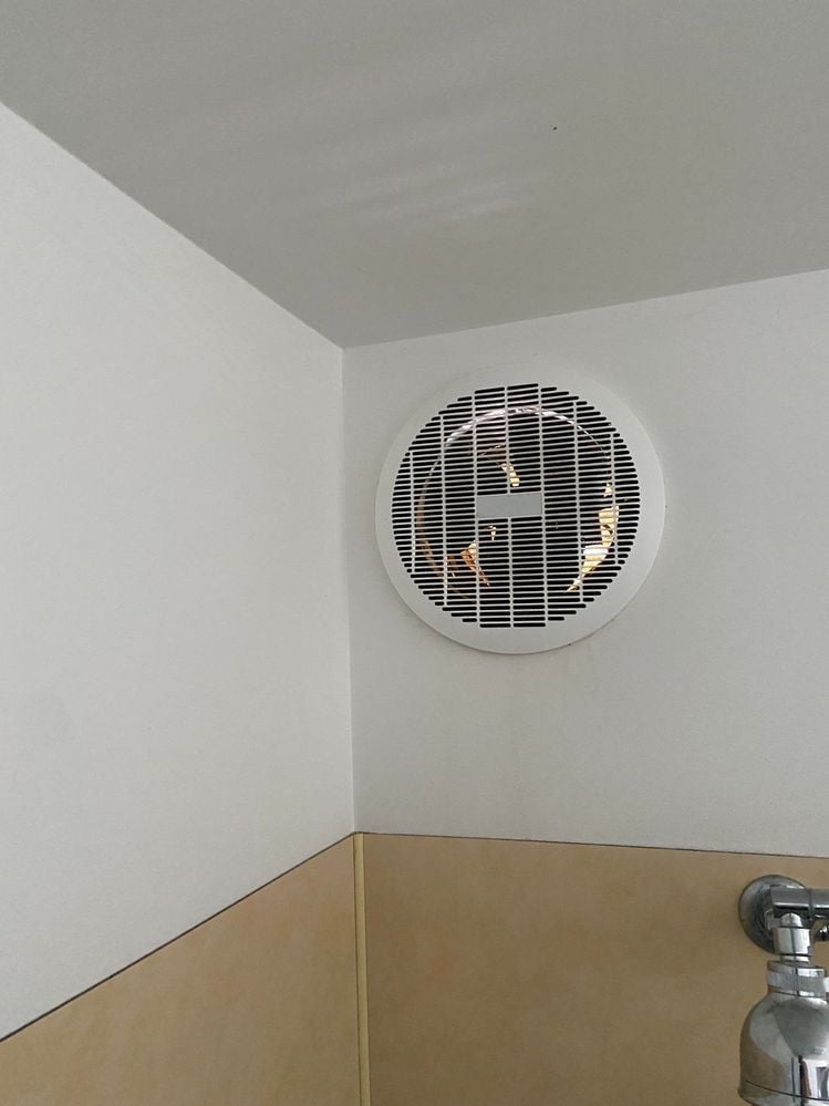 IMG_3711.jpg IMG_3711.jpg