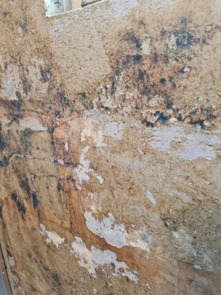 453430784_1208074316997440_6788586802869533105_n.jpg 453430784_1208074316997440_6788586802869533105_n.jpg