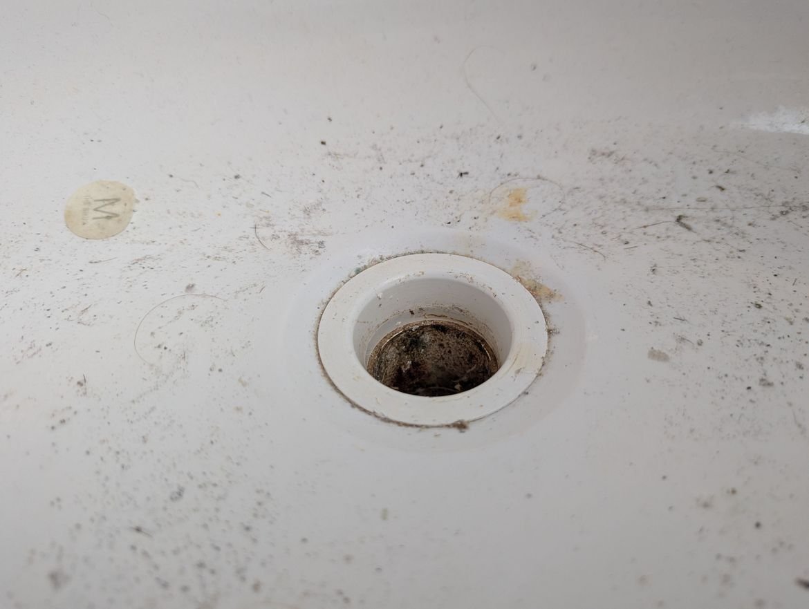 PXL_20240730_074452923.jpg PXL_20240730_074452923.jpg