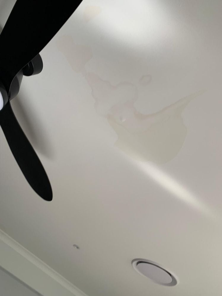 Image 2.jpeg Image 2.jpeg