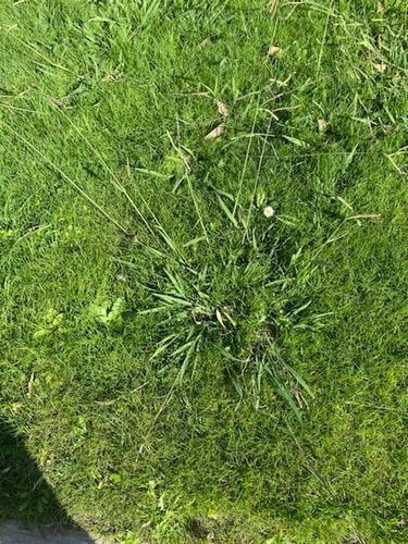 C6728A2C-ACD5-4569-BE65-75B46497E245.jpeg C6728A2C-ACD5-4569-BE65-75B46497E245.jpeg