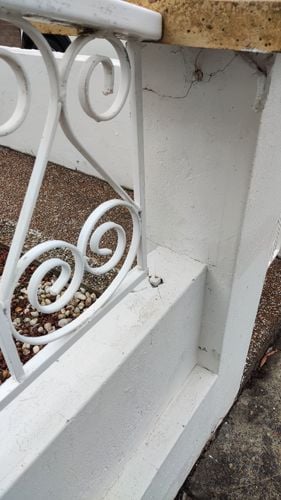 IMG_20251220_112017.jpg IMG_20251220_112017.jpg