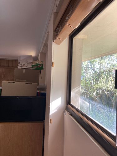 IMG_9478.jpeg IMG_9478.jpeg